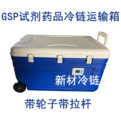 GSPԇˎƷ\ݔ